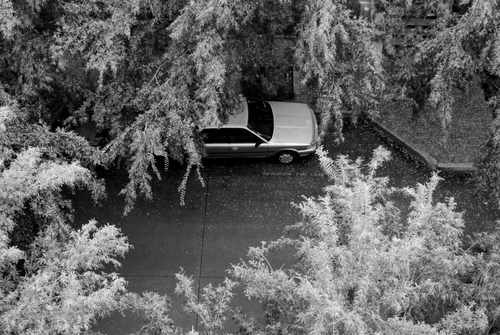 Aerial View of a Parked Car with trees Car Stock Photos This car photo 