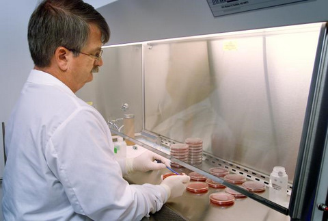 Doctor at CDC Performing a DNA-DNA Hybridization Analysis 