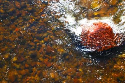 Nature Stock Photo; Red Rock  in River (from above) 