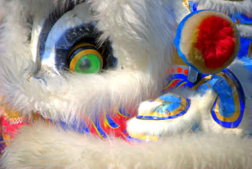 White Mask - Native to Mongolia
