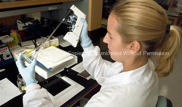 Doctor at CDC Running a Pulsed-field Gel Electrophoresis (PFGE) Analytical Test