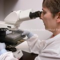 Doctor at CDC Reading a Microscopic Agglutination Test (MAT)