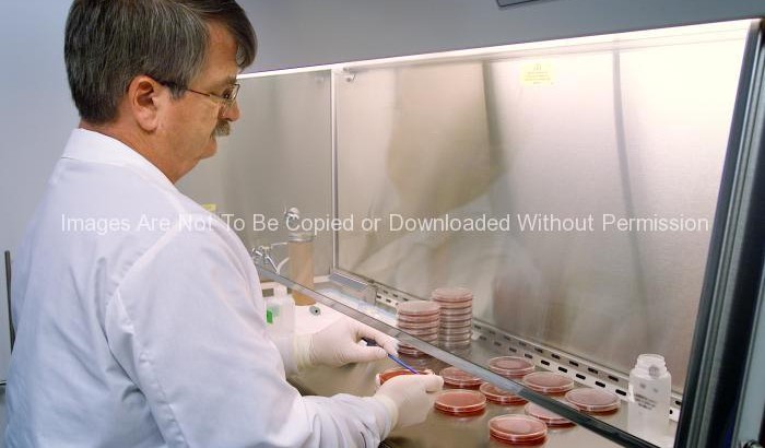 Doctor at CDC Performing a DNA-DNA Hybridization Analysis