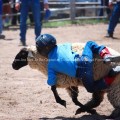 Little Cowboy Mutton Busting at a Small Town Rodeo