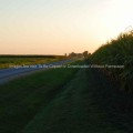 County Road and Corn-001